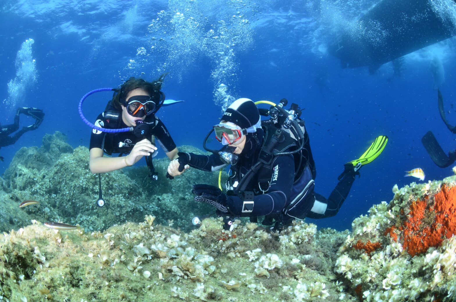 La Fédération française d’études et de sports sous-marins outille ses clubs avec HelloAsso