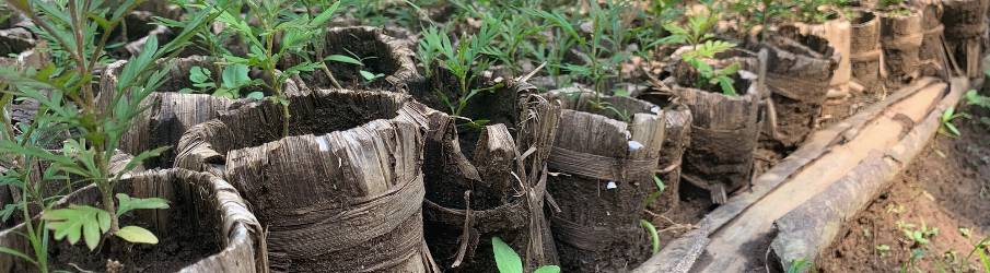 Bannière Protégeons la biodiversité au Burundi !