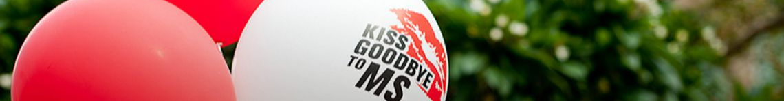 Bannière Kiss Goodbye to MS France