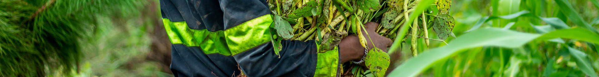 Bannière Soutenir le programme de sécurité alimentaire